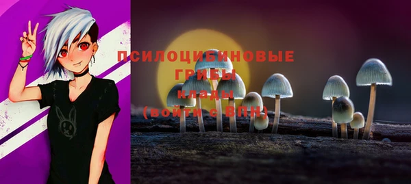 Альфа ПВП Коряжма