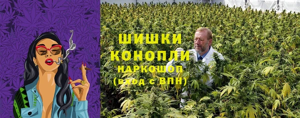 ПСИЛОЦИБИНОВЫЕ ГРИБЫ Корсаков